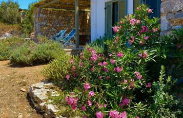 Villa Handras-Ulivo & Mandorlo, by Amorgos Holiday Homes - Foto 33