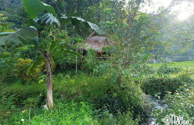 Thai House Pu Luong - Foto 51