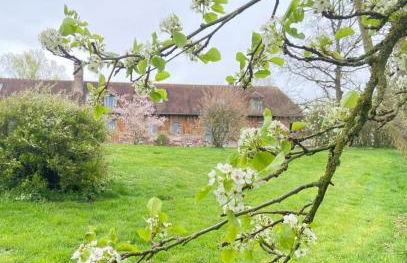 Beau soleil - Foto 19