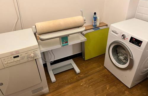 Oswald Hempel 5 Zimmermaisonette und 3 Zimmer Loftwohnung - Foto 26