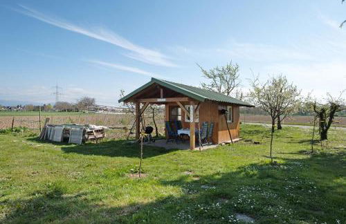 Ferienwohnung Schwarzwaldblick - Foto 24