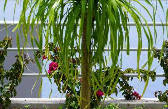 Holiday Apartment Ocean View - Foto 29