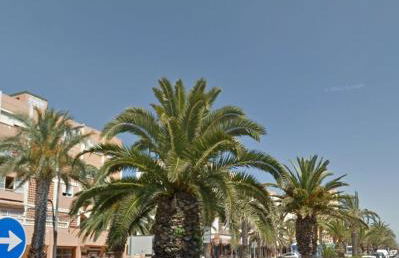 Sela Playa - Foto 23