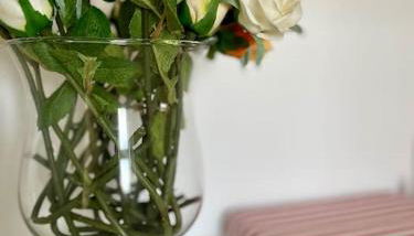 La corte di Tata Ninu - Foto 4