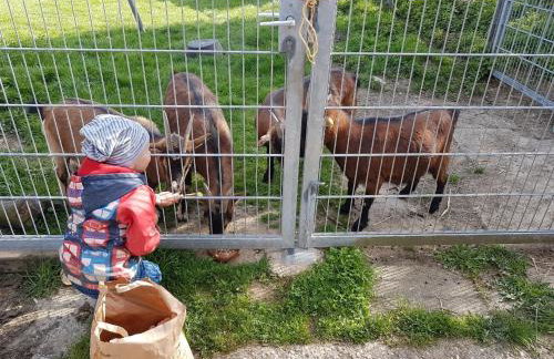 Ferienwohnung/Monteurwohnung im schönen Odenwald - Photo 24