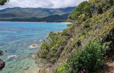 Mini Villa 69 - Piscine chauffée - Foto 16