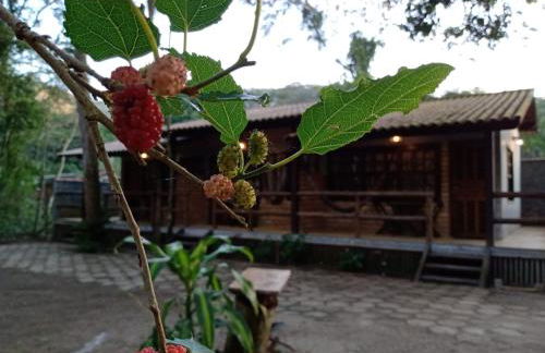 Chalé 01 Itaipu Vale da Colina Niterói - Photo 17