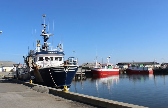 "Raisa" - 200m to the fjord - Foto 21