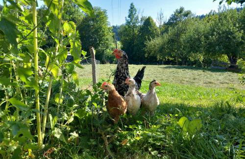 Ferienwohnung Andre - Foto 14