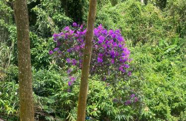 Apart-hotel Cantinho da Serra - Foto 26