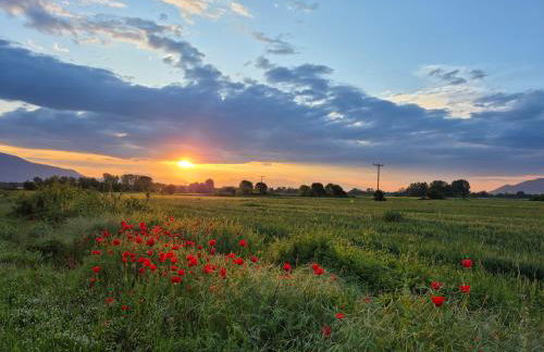 Kerkini Houses - Foto 8