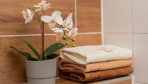 Apartamenty GoszóWita - Foto 3