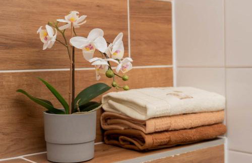 Apartamenty GoszóWita - Foto 2