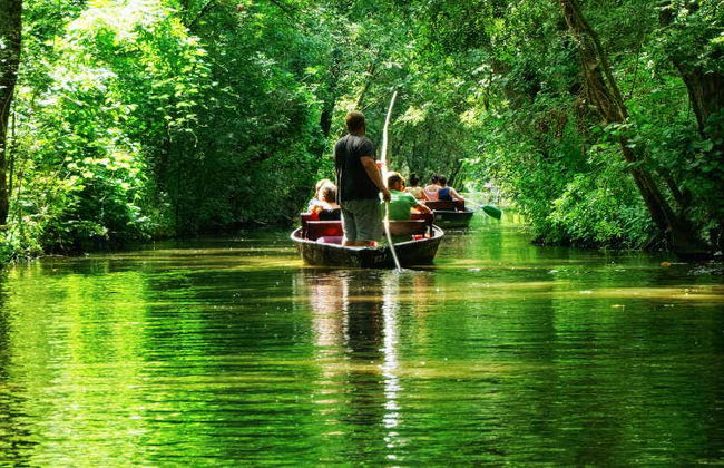 Paseo en barca por Magné - Foto 1