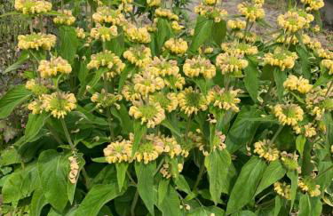 Ferienwohnung Zur fleißigen Biene - Foto 27