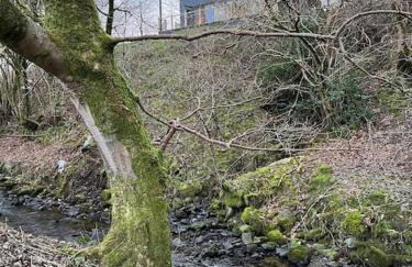 Luxury Lodge In The Treetops - Foto 41