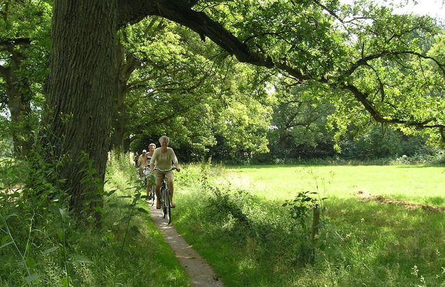Holiday Home With Garden in Den Ham - Foto 31