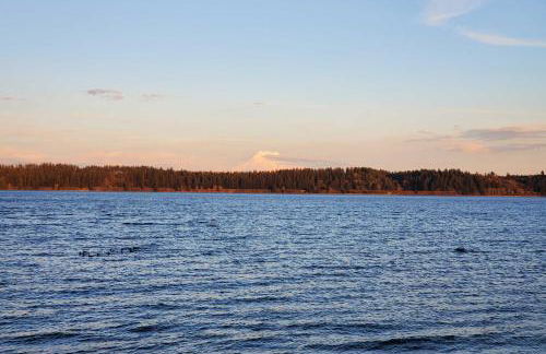 Beachfront Anderson Island Escape Rainier Views! - Foto 32