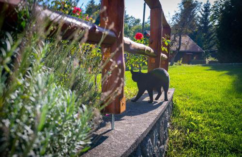 Šajnska Hiža, autentična goranska kuća u prirodi - Foto 28