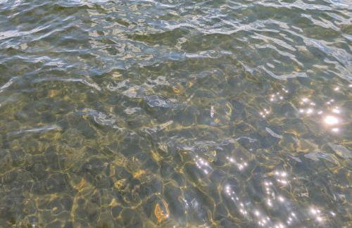 Harlequin Haven in Boulder Junction WI - Foto 36