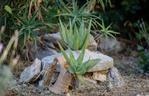 Apartment Marisol Barbat - Foto 52