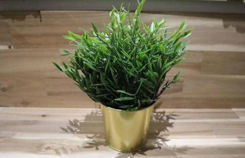 Maison atypique, centre-ville 2+2 pers Sauna IR - Foto 15