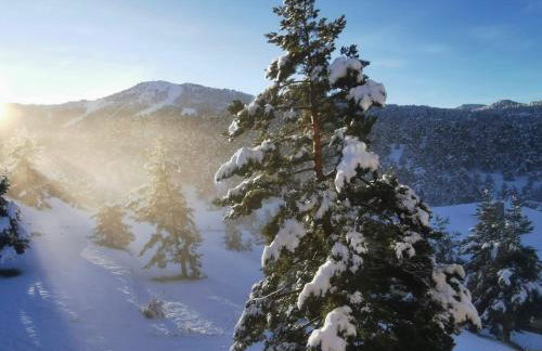 Gréolières Les Neiges - Foto 51