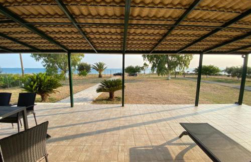 O κήπος της Εδέμ / Garden of Eden - Foto 18