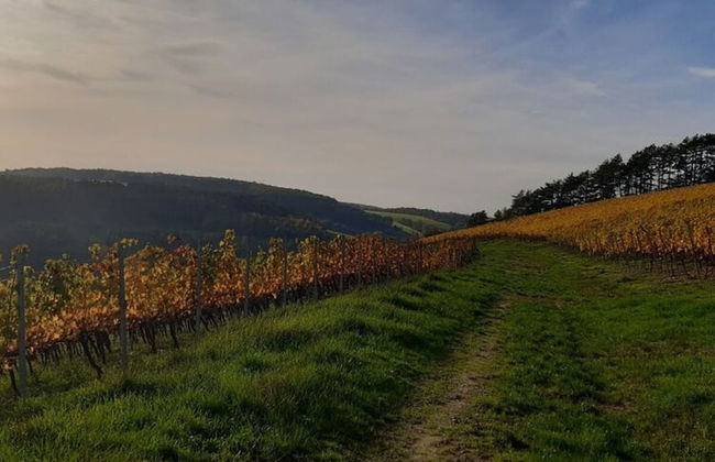 Apartment Tenne in Konigheim - Foto 9