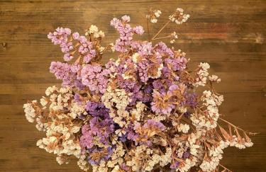 Pombal Suite - Foto 34