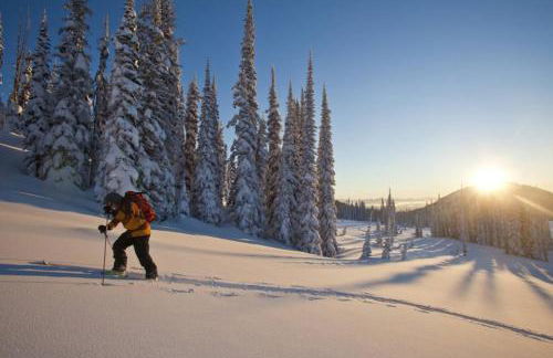 Im weißen Schlössl Friedemann - Photo 27