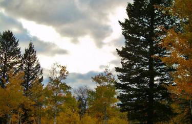 Cozy Immaculate Cabin - Peaceful Retreat! - Foto 21