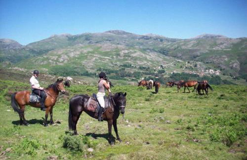 Casa do Avô - Foto 30