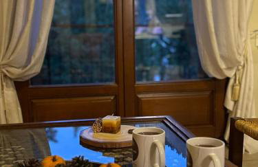 Horizon Nest Parnassos Villa Chalet! - Foto 29