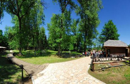 House Jelena&Marija - Foto 42