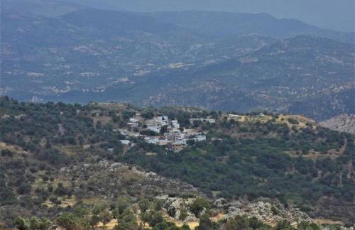 Serene, slow living house - Foto 28