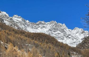 Abri cache in Valtournenche - Foto 23
