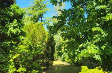 Ferienwohnung Kormoran - Foto 13