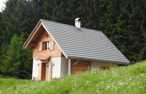 Arnika Hütte - un'immersione nelle montagne della foresta millenaria - Photo 1