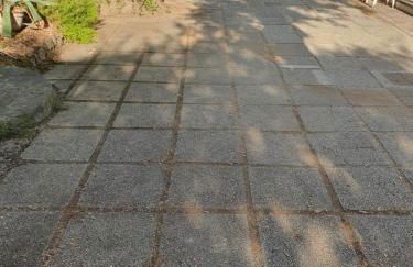 Lecci al Mare - Foto 46