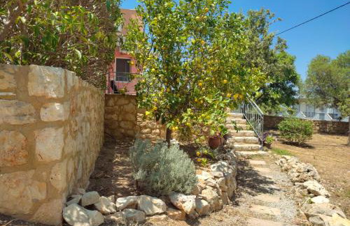 Elysian Rose Residence - Foto 39