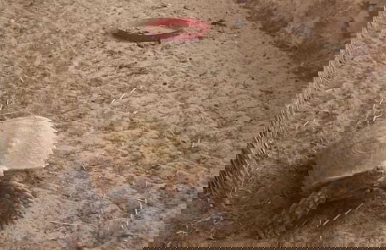 Keur Lagune - Foto 6