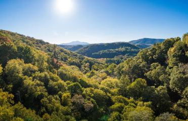 Sunflower Suite at The Wanderer - Foto 20