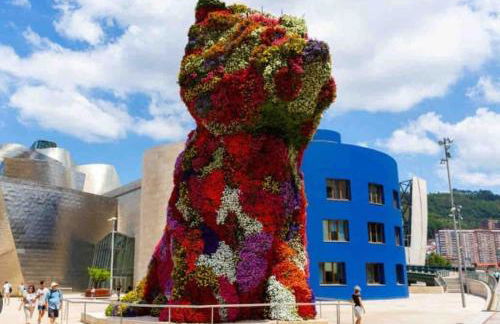 Gurea Casco Viejo Con opción a Parking - Foto 20