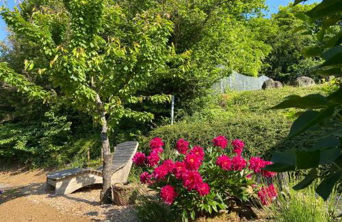 Apartmenthaus RuheZeit - Foto 41