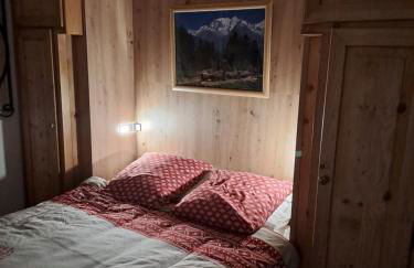 A4 km de Megève très joli studio avec jacuzzi ,vue sur les montagnes au calme - Foto 2