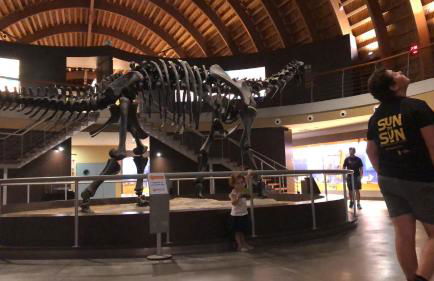 Alojamientos Casa Luisa - Foto 37