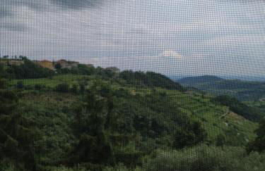 Dolci Vecchi Ricordi in Valpolicella - Foto 32