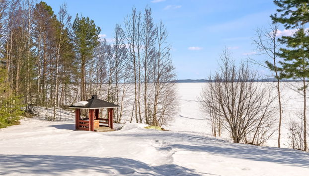 Suopursu - Foto 2, Inside other