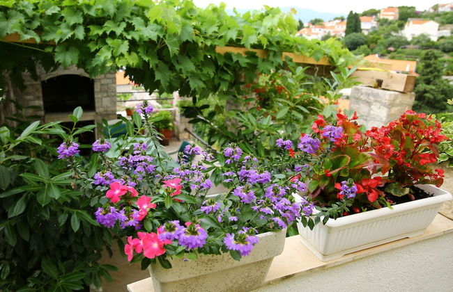 Apartments Boro - Foto 68